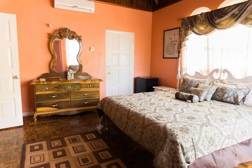 Gasthuis Villa Nakia & Nadia Wing Ocho Rios
