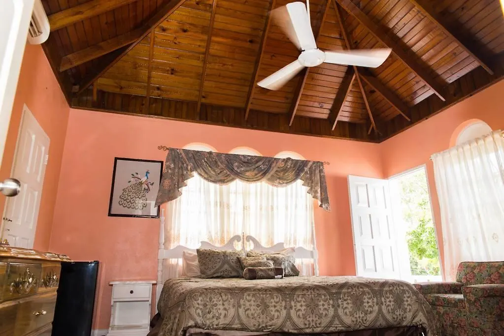 Villa Nakia & Nadia Wing Ocho Rios Gasthuis